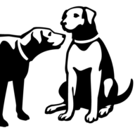 Double Dogs logo